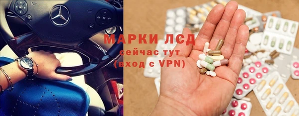 шишки Арсеньев