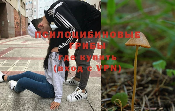 Альфа ПВП Аркадак