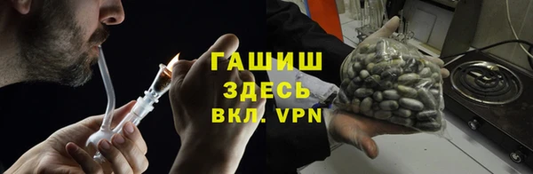 шишки Арсеньев