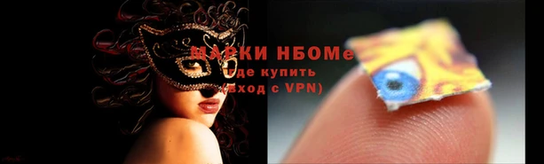 шишки Арсеньев