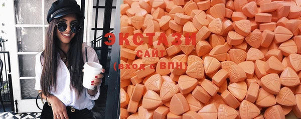 шишки Арсеньев