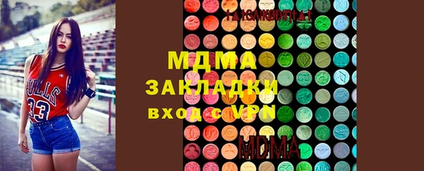 шишки Арсеньев