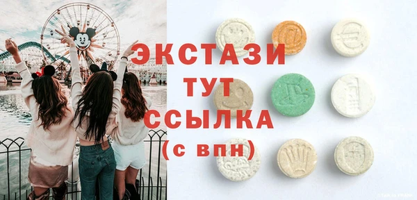 дмт Ельня