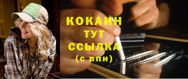 Альфа ПВП Аркадак