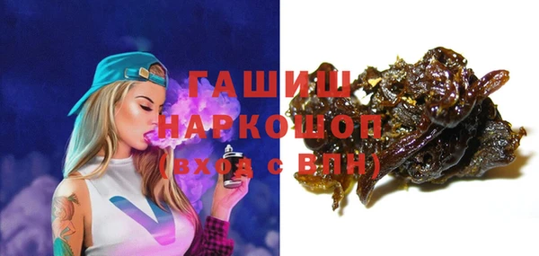 шишки Арсеньев
