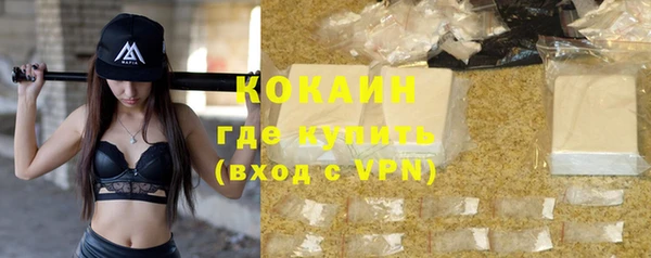 шишки Арсеньев